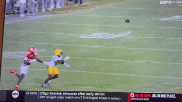 Lsu GIF