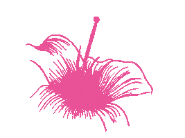 Lilum Forma & Praxis Sticker