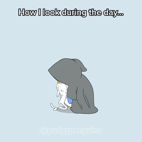 How I Look Day GIF by Pudgy Penguins