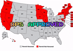 Texas Gun License GIF