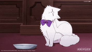 Cat Scratch GIF by Funimation
