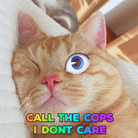 police cat gif