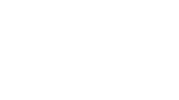 Dolphin Sticker