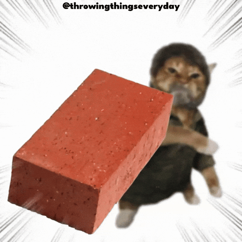Cat Throwing GIF