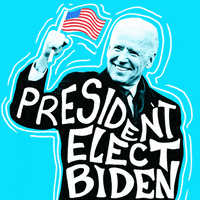 Election 2020 Democrat GIF by Creative Courage