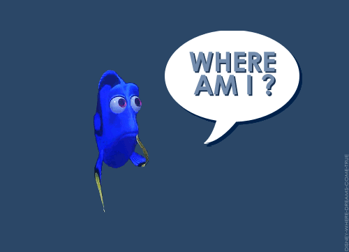 Finding Nemo Disney GIF - Find & Share on GIPHY