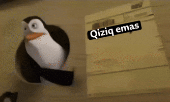 New GIF
