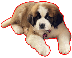 Triad Clean Home Sticker