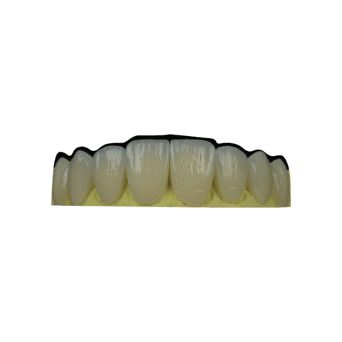 Apostol Dental Sticker