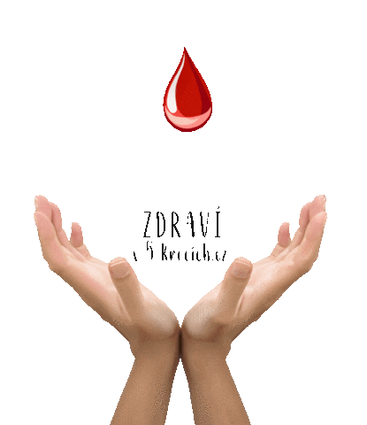 Zdraviv5krocich.cz Sticker