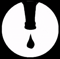 ZAPF! Craft Beer Festival Bern GIF