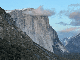Toby Wagstaff GIF