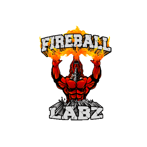 Sticker by Fireball Labz