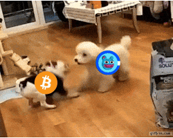 Pump It Crypto GIF by Web3 Newswire