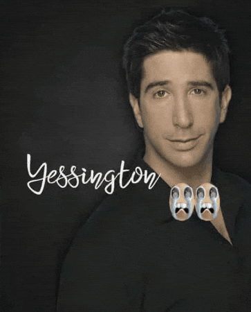 Ross Geller Friends GIF