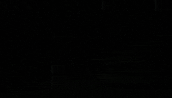 Rodin Cars GIF