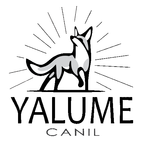 Canil Yalume Sticker