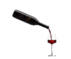 Celebration Sticker by Trius Winery