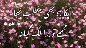 Pakistan Urdu GIF