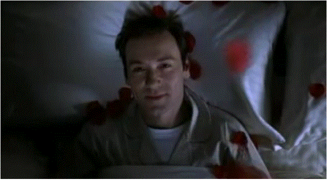 american beauty
