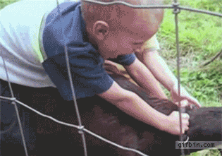 goat fail GIF