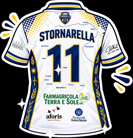 Sv GIF by StornarellaVolley