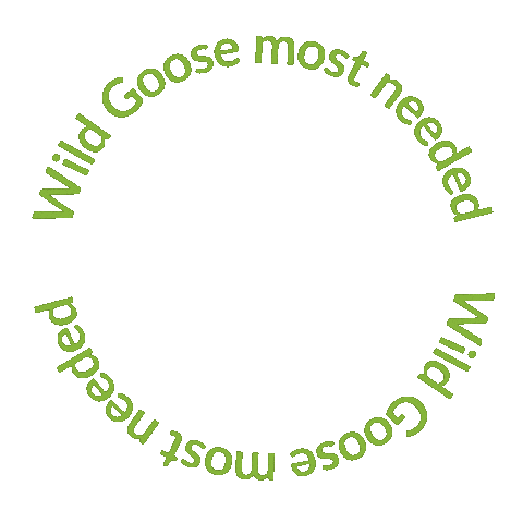 Wild Goose Donations Sticker by inHope Bristol