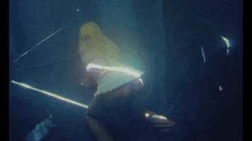 GIF by Cailin Russo