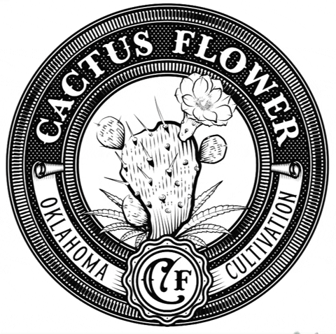 GIF by CactusFlowerOK