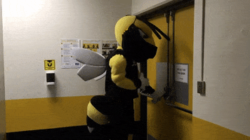 AIC Yellow Jackets GIF