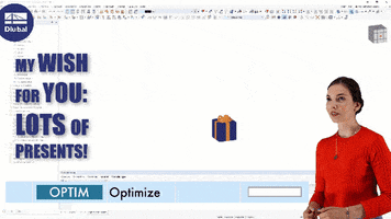 Christmas Present GIF by Dlubal Software