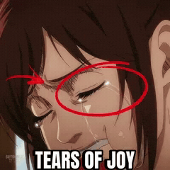 Attack On Titan Peak GIF