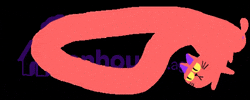 onhouseagency GIF