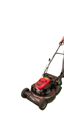 Tuin Gras Sticker by Broos Groenvoorziening