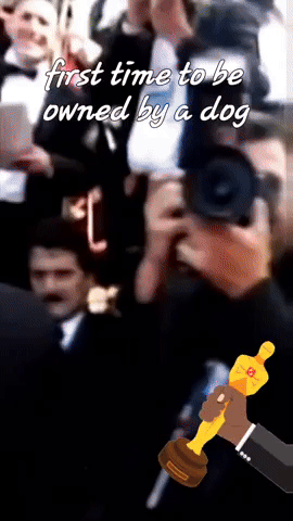 First Time To Be Owned By A Dog GIF