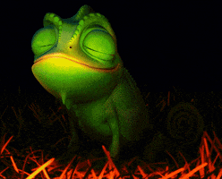 chameleon nod GIF