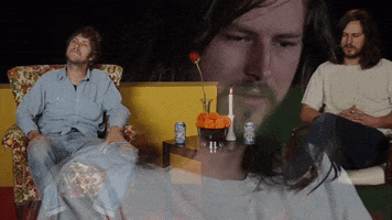 jeff the brotherhood ghost GIF by Infinity Cat Recordings