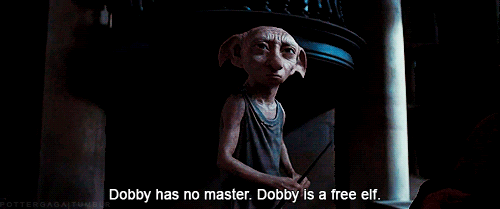 Dobby però diventa un elfo libero