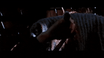 nobody  GIF