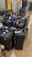 Lost Luggage GIFs