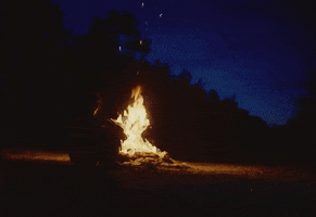 200.gif?cid=fc005b086fb9de316be197cd1da2f01a6f5a70d1fc75740c&rid=200.gif&ct=g