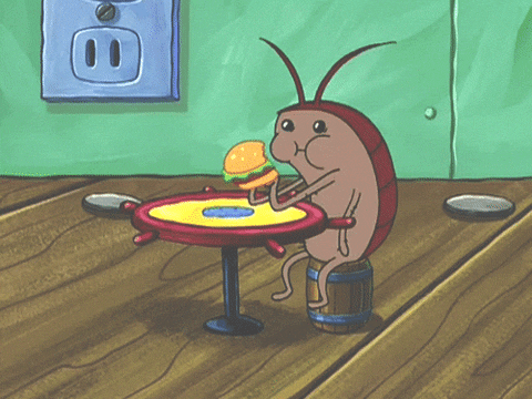 Cockroach Eating GIF by SpongeBob SquarePants - Find & Share on GIPHY