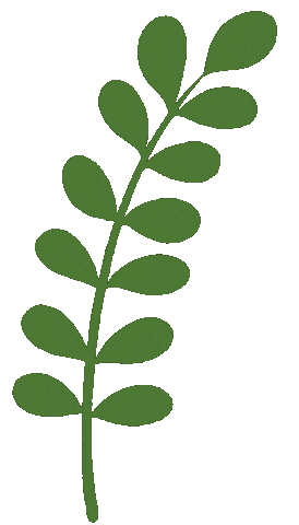 Spring Plant Sticker