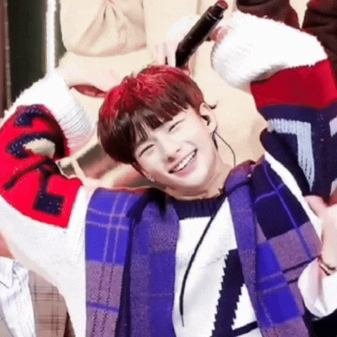 Stray Kids Skz GIF