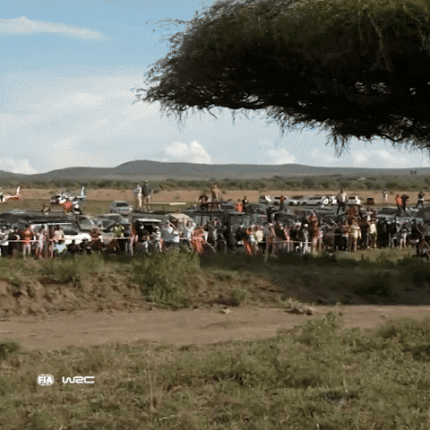 Slow Motion Toyota GIF by FIA World Rally Championship