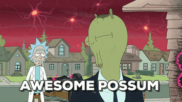 Rick And Morty Awesome Possum GIF by Adult Swim
