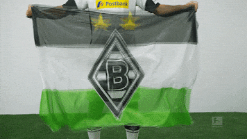 proud borussia moenchengladbach GIF by Bundesliga