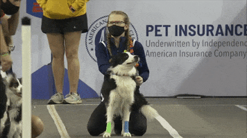 Confused Whats Going On GIF by American Kennel Club