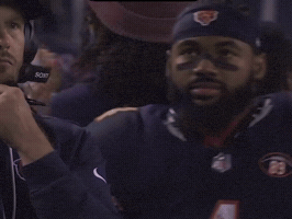 Side Eye Bears GIF