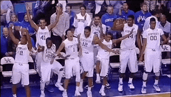 Kentucky Wildcats GIF
